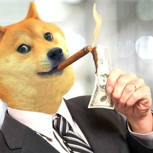 Meet your Posher, Dan